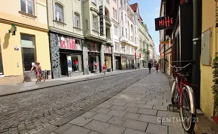 Pronájem bytu 3+kk 143 m², Panská, Brno - Brno-město