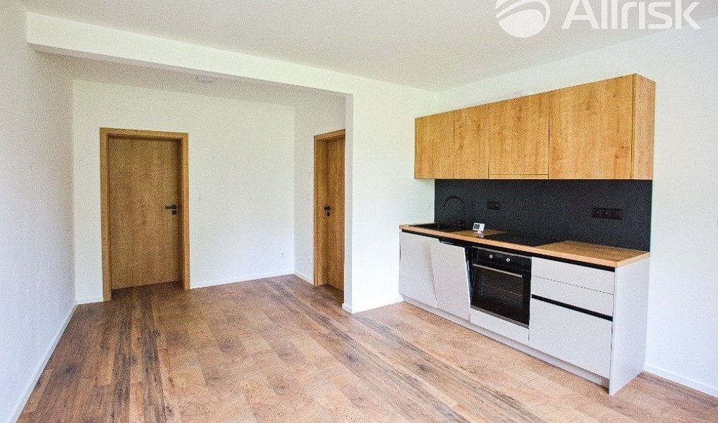 Prodej bytu 3+kk 48 m², Brno – náhled fotky 4