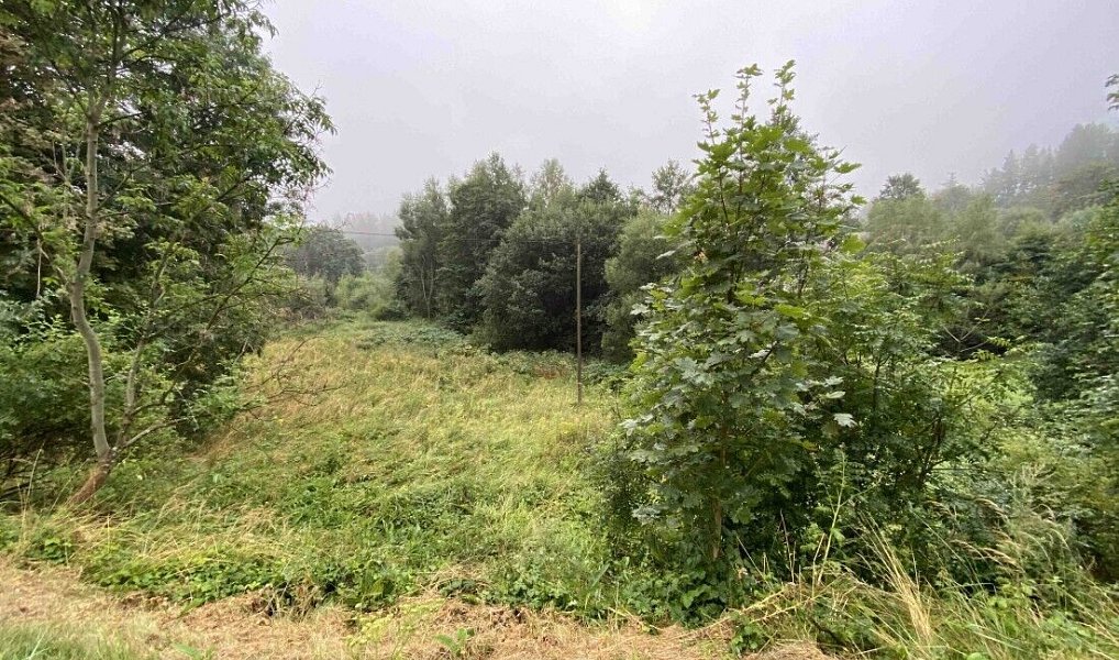 Prodej pozemku 1 758 m², Andělská Hora – náhled fotky 3