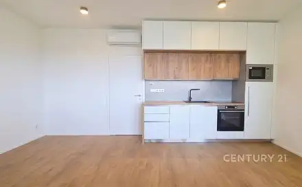 Pronájem bytu 1+kk 35 m²
