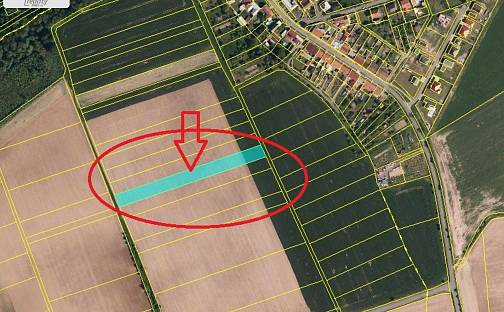 Prodej pole 2 536 m², Kladníky, okres Přerov