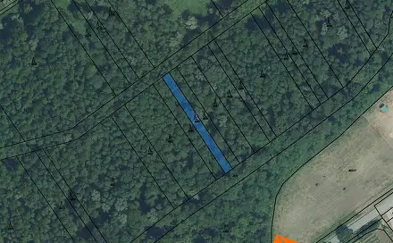 Prodej lesa 155 m², Brod nad Dyjí, okres Břeclav