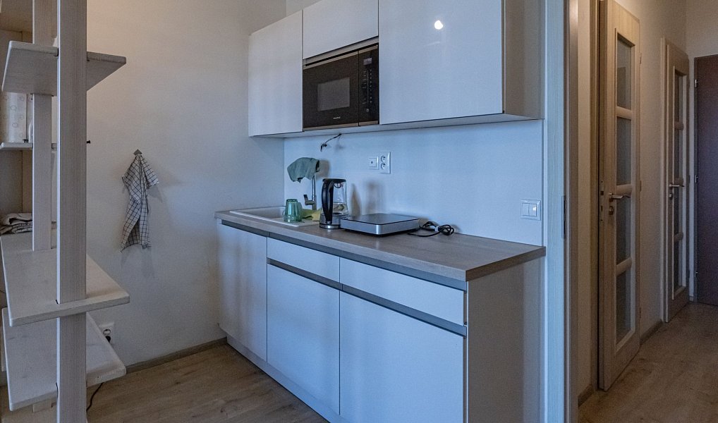 Prodej bytu 1+kk 33 m², Praha – náhled fotky 4