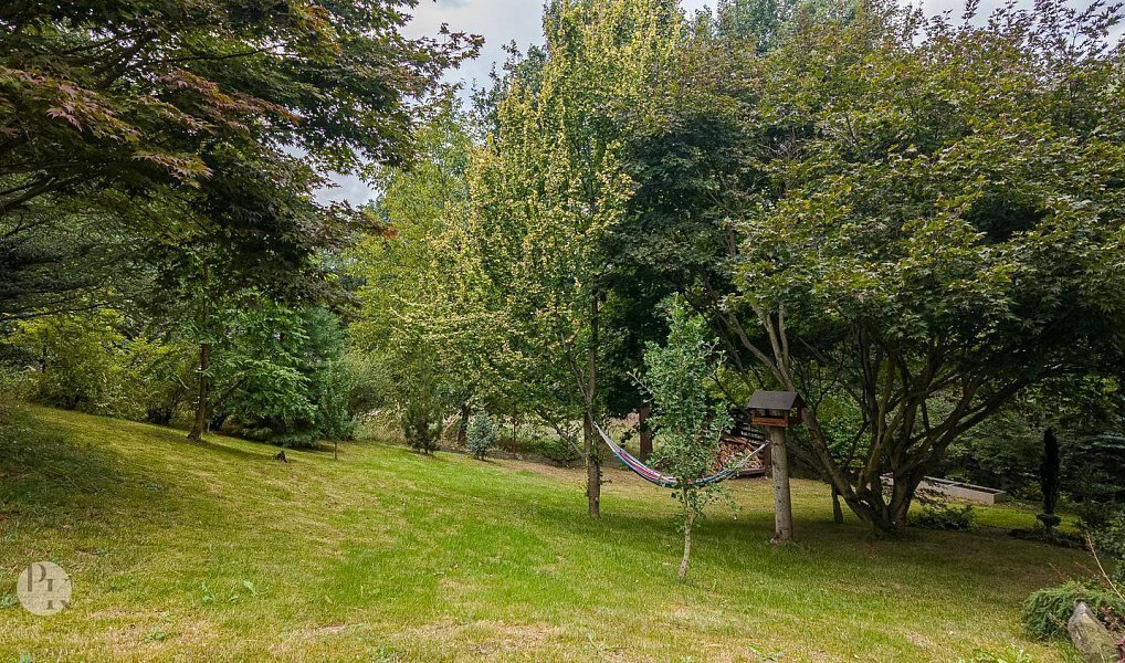 Prodej stavebního pozemku 2 132 m², Orlová – náhled fotky 8