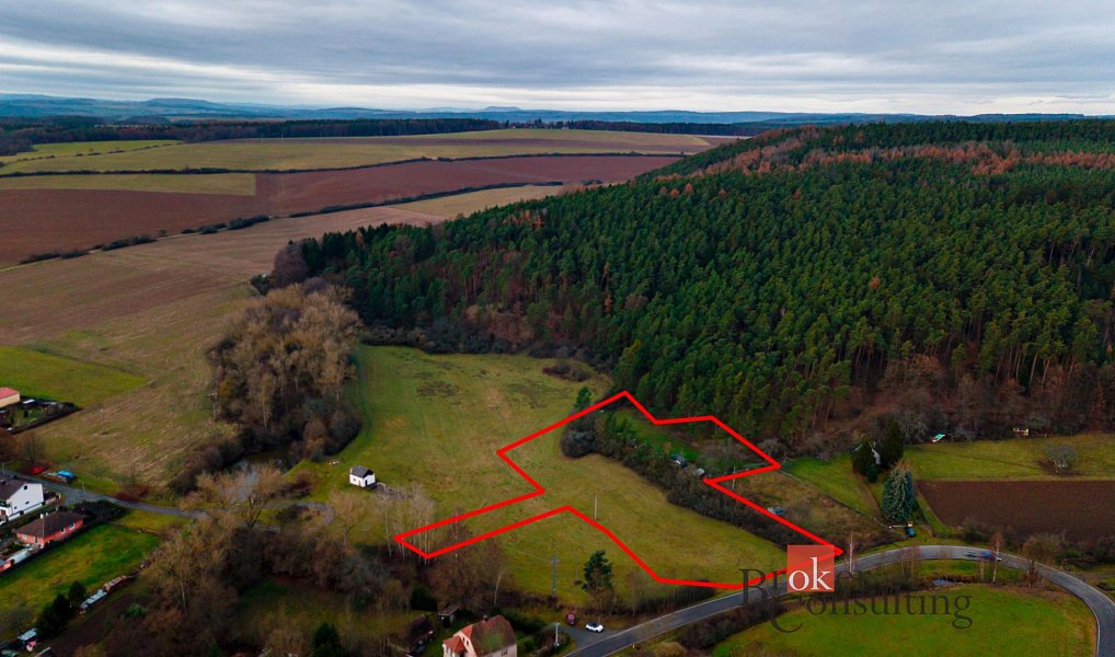 Prodej stavebního pozemku 6 000 m², Plasy – náhled fotky 3