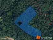 Prodej lesa 11405m2