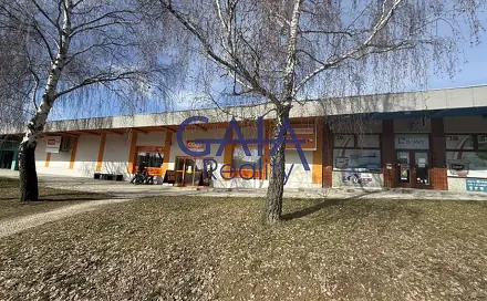 Prodej obchodních prostor 600 m², B. Němcové, Dačice - Dačice V, okres Jindřichův Hradec