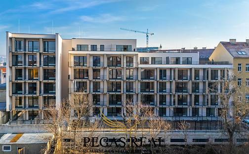 Prodej bytu 1+kk 31 m², Dornych, Brno - Trnitá