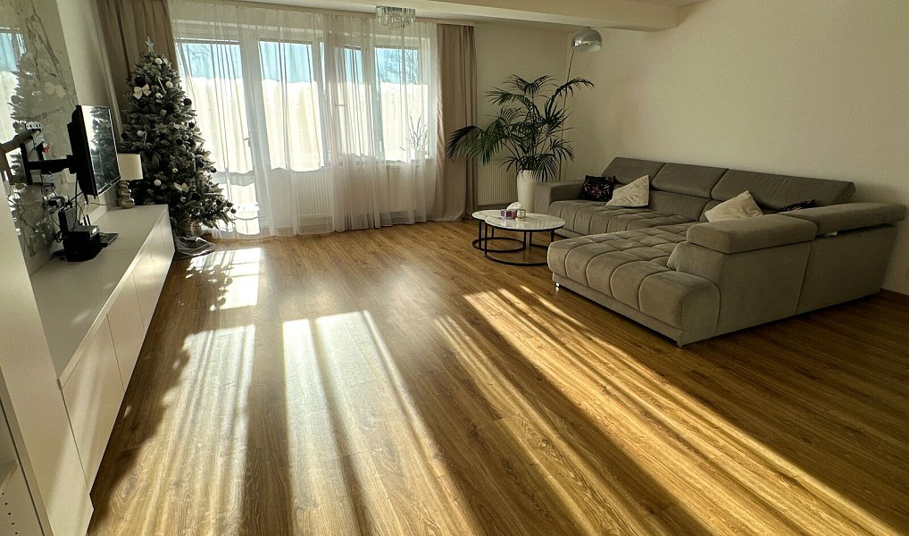 Prodej domu 300 m² s pozemkem 154 m², Tachov – náhled fotky 13