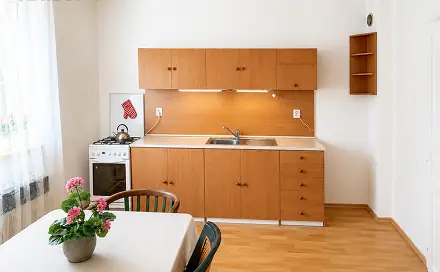 Pronájem bytu 1+1 40 m², U Dílen, Světlá nad Sázavou, okres Havlíčkův Brod