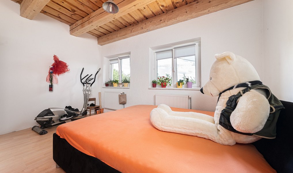 Prodej domu 520 m² s pozemkem 1 414 m², Cheb – náhled fotky 6