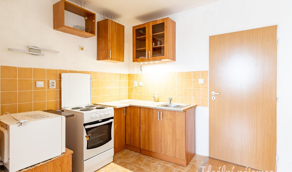 Pronájem bytu 1+kk 47 m², Šestajovice – náhled fotky 5