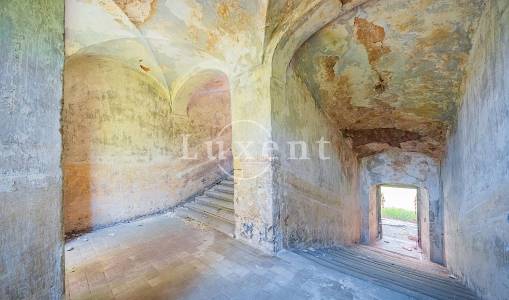 Prodej komerčního objektu (jiného typu) 5 100 m², Vršovice – náhled fotky 17