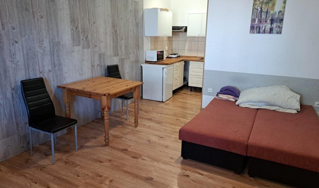 Pronájem bytu 1+kk 25 m², Jámy – náhled fotky 2