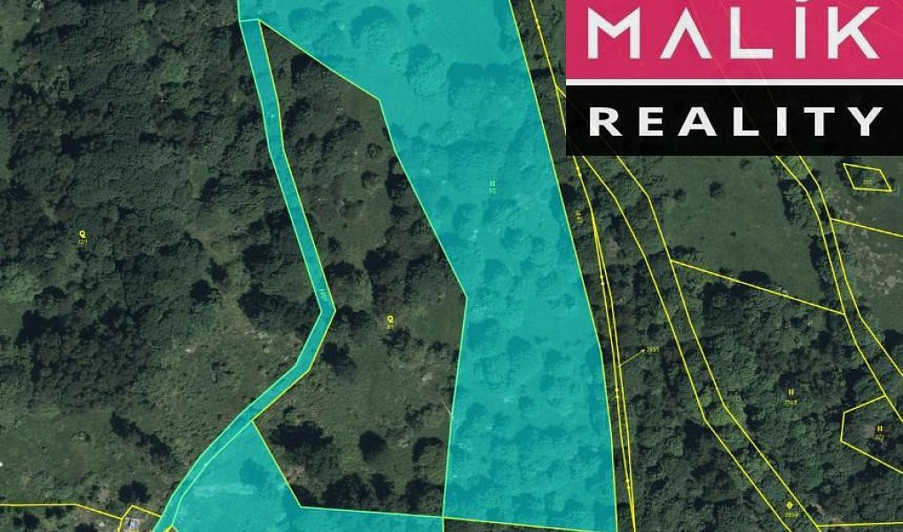 Prodej louky 19 580 m², Stráž nad Ohří – náhled fotky 4