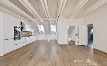 Prodej bytu 2+kk 78 m², Budějovická, Veselí nad Lužnicí - Veselí nad Lužnicí I, okres Tábor