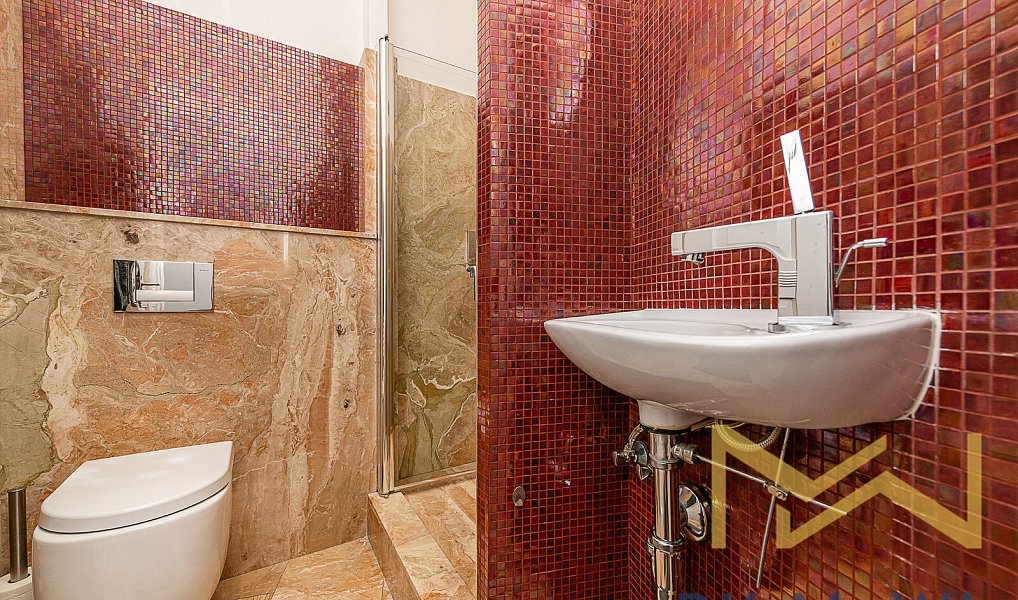 Pronájem bytu 4+kk 146 m², Praha – náhled fotky 15