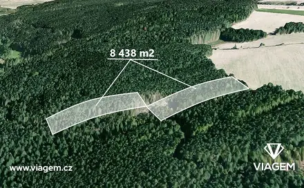Prodej lesa 4 219 m², Manětín, okres Plzeň-sever