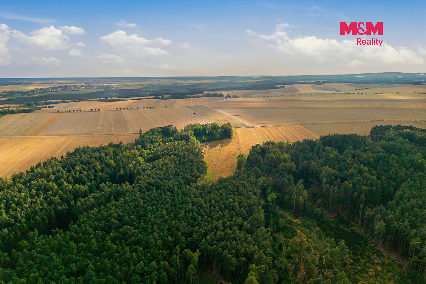 Prodej lesa 4 230 m² – fotografie 4