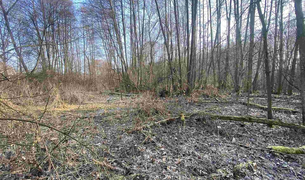 Prodej pole 5 206 m², Karlovice – náhled fotky 7