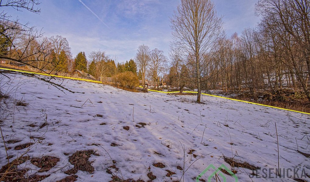 Prodej louky 2 772 m², Branná – náhled fotky 15