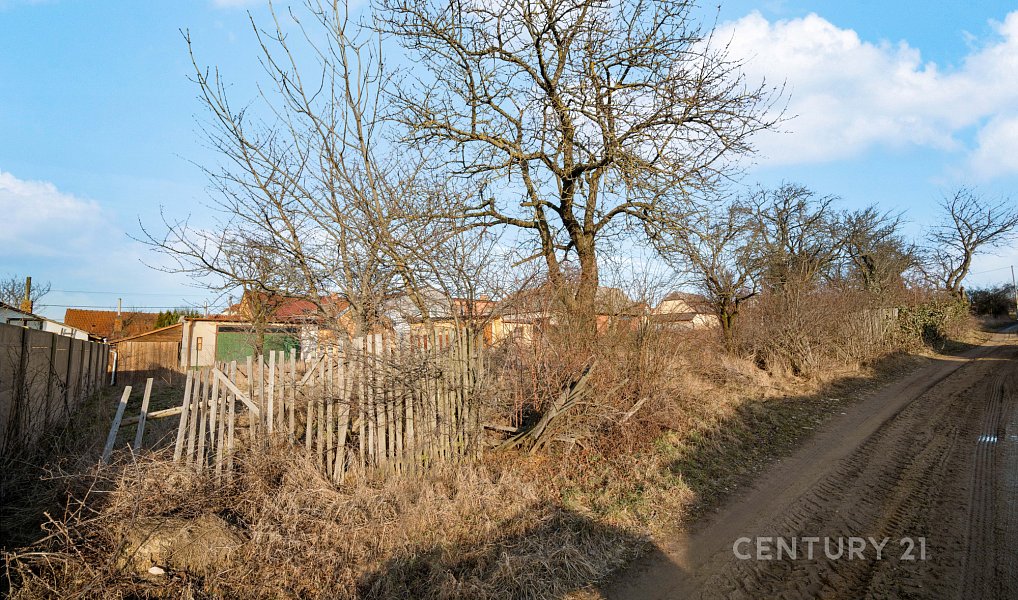 Prodej stavebního pozemku 750 m², Stanoviště – náhled fotky 12