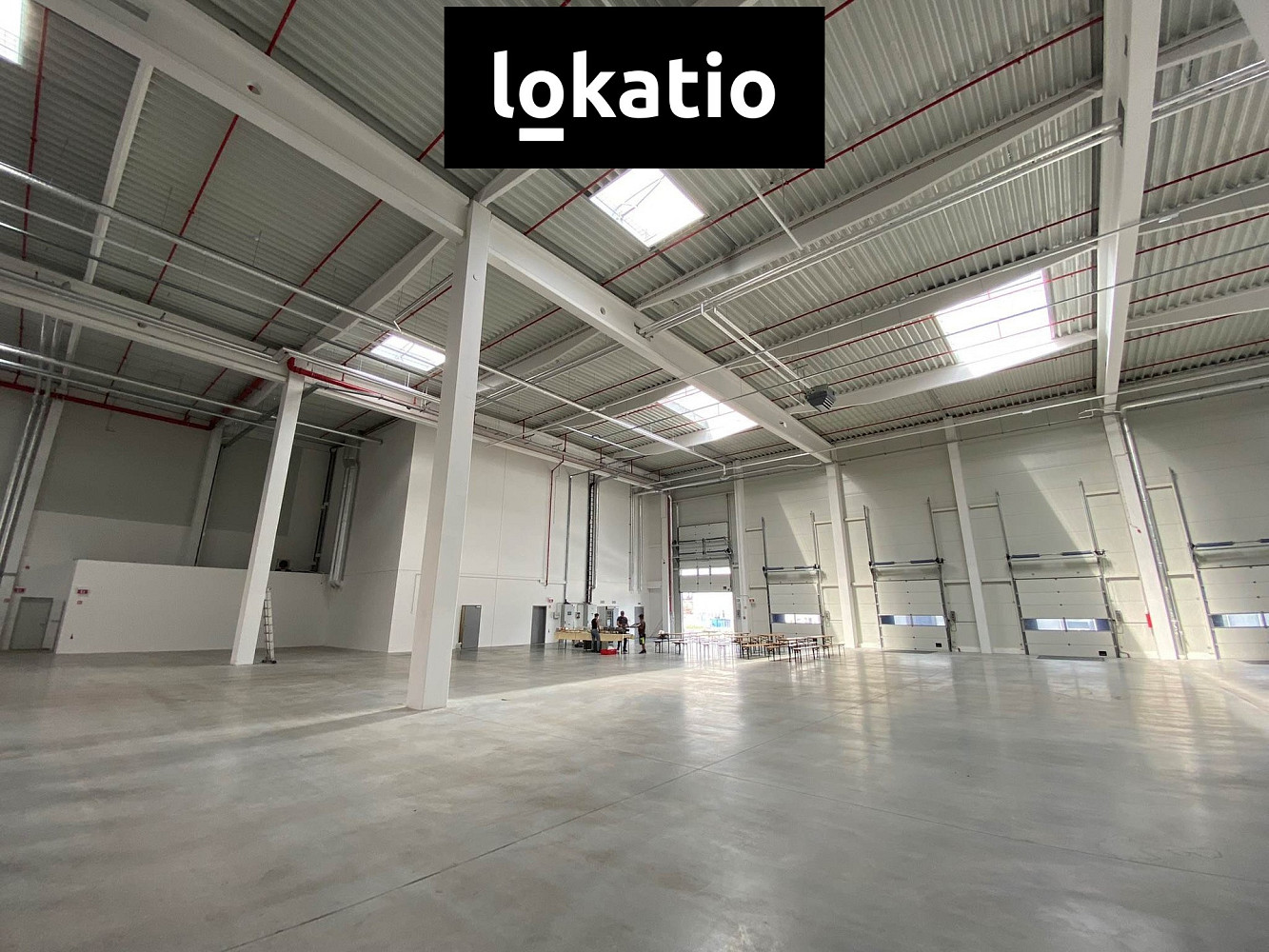 Pronájem skladovacích prostor 4 323 m² — photo 5