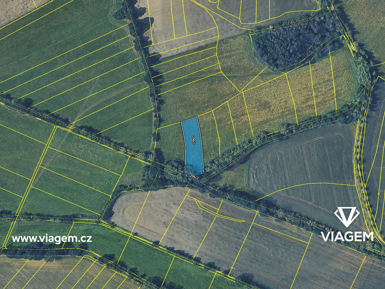 Prodej pole 565 m² – fotografie 4
