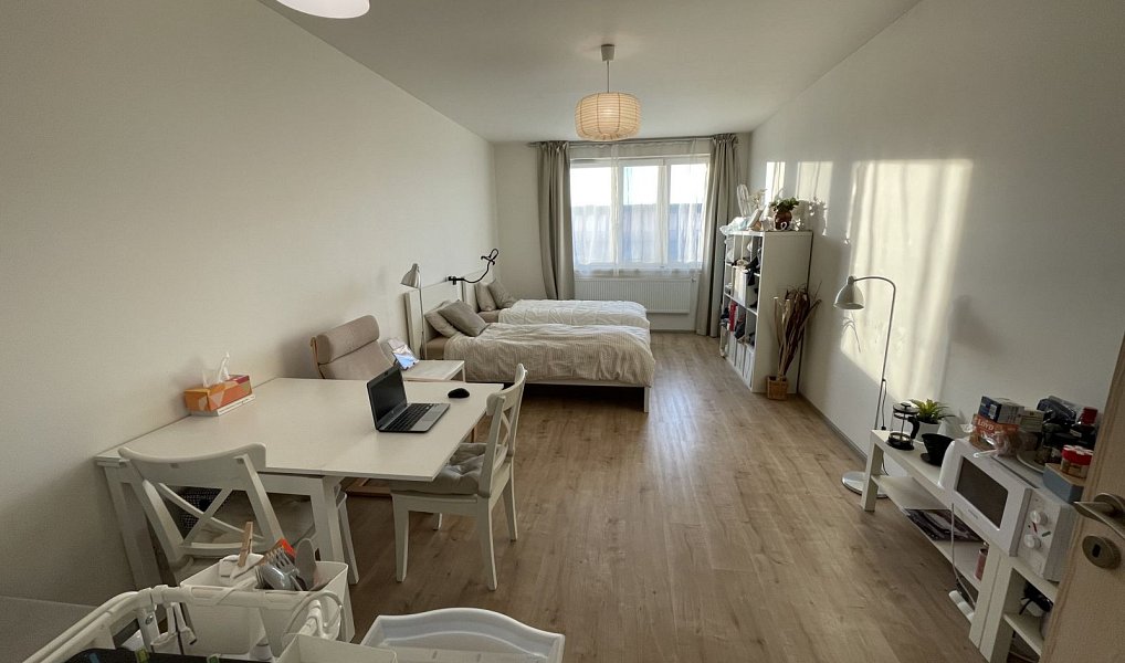 Prodej bytu 1+kk 33 m², Praha – náhled fotky 2
