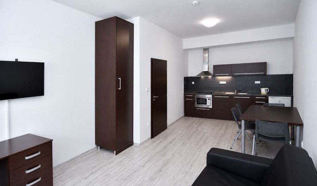 Prodej bytu 2+kk 45 m², Brno – náhled fotky 2