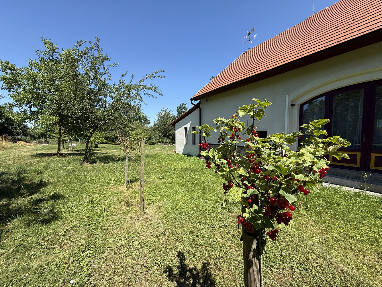 Prodej domu 550 m² – pohled 5