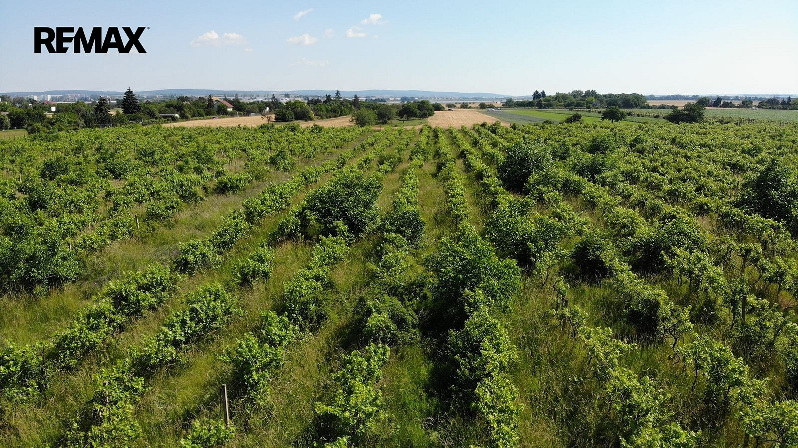 Prodej komerčního pozemku 2 465 m² – fotografie 2