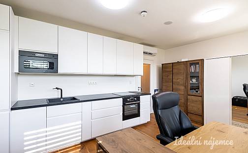 Pronájem bytu 1+kk 26 m², Perucká, Praha 2 - Vinohrady