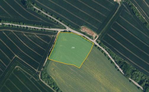 Prodej pole 21 252 m², Mohelnice nad Jizerou, okres Mladá Boleslav