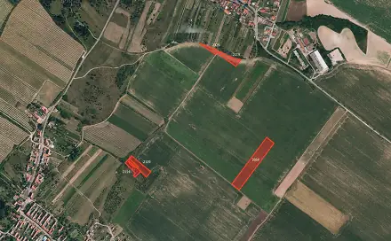 Prodej pole 4 096 m², Znojmo - Popice