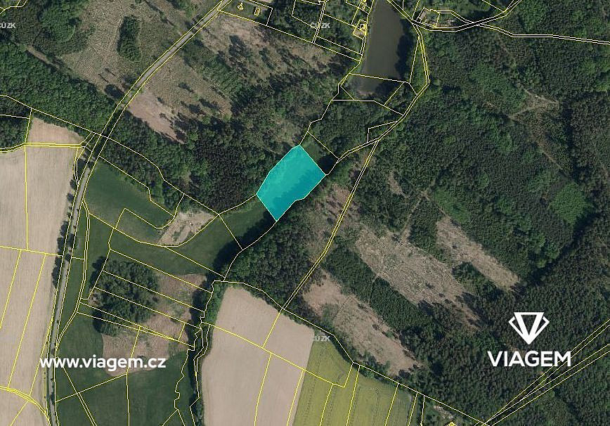 Prodej pole 1 242 m² – fotografie 3