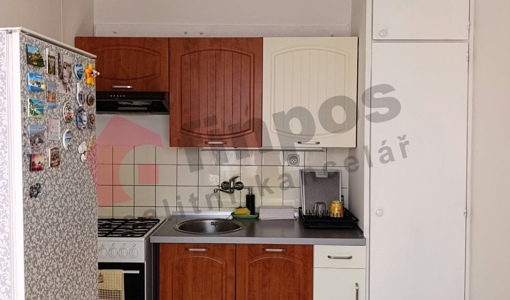 Pronájem bytu 1+1 40 m², Praha – náhled fotky 3
