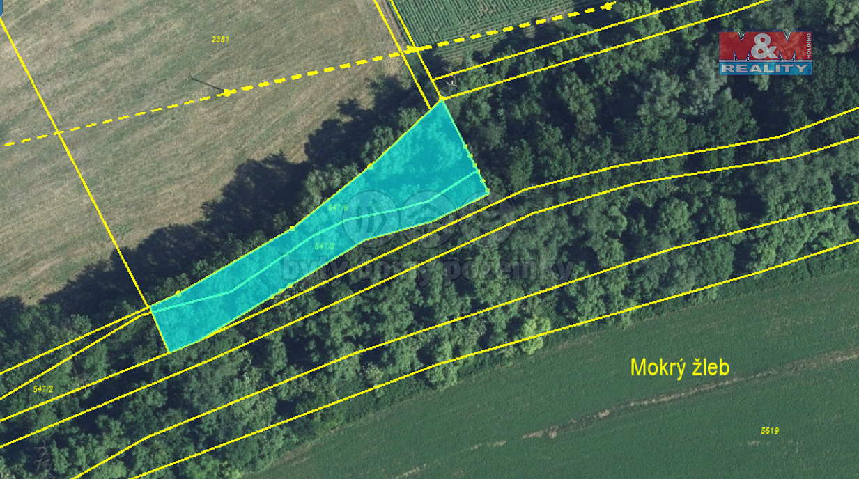 Prodej pole 1 260 m² – fotografie 4
