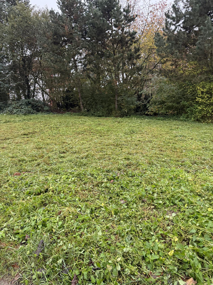 Prodej pozemku 991 m² – fotografie 3