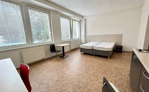 Pronájem bytu 1+kk 35 m², Křížová, Praha 5 - Smíchov