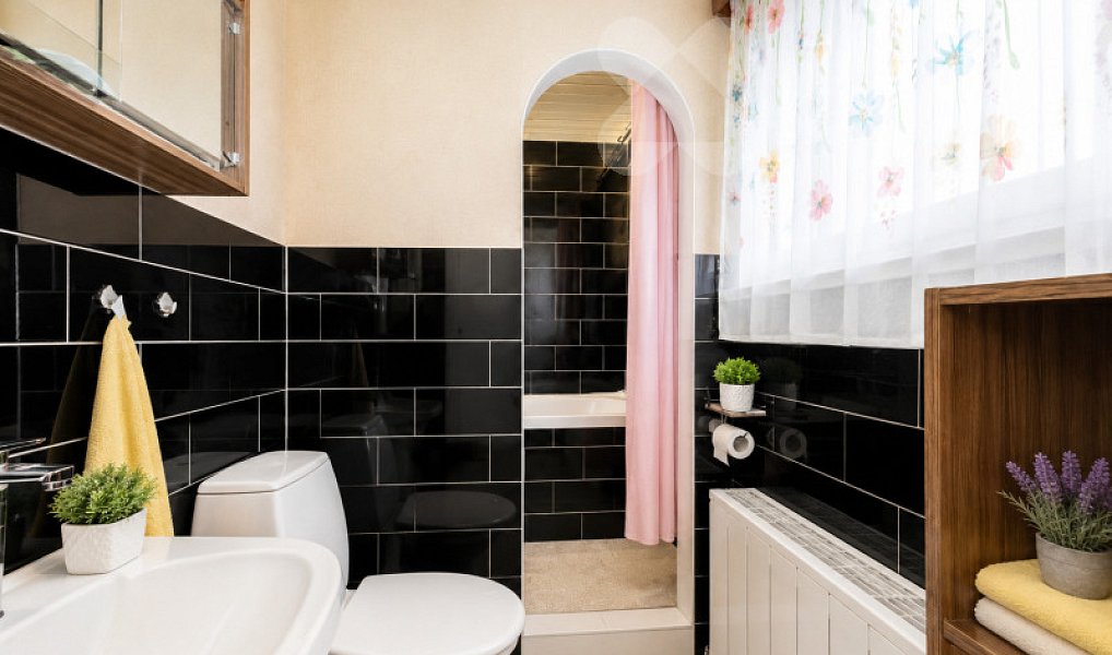 Prodej domu 310 m² s pozemkem 1 623 m², Zlaté Hory – náhled fotky 11