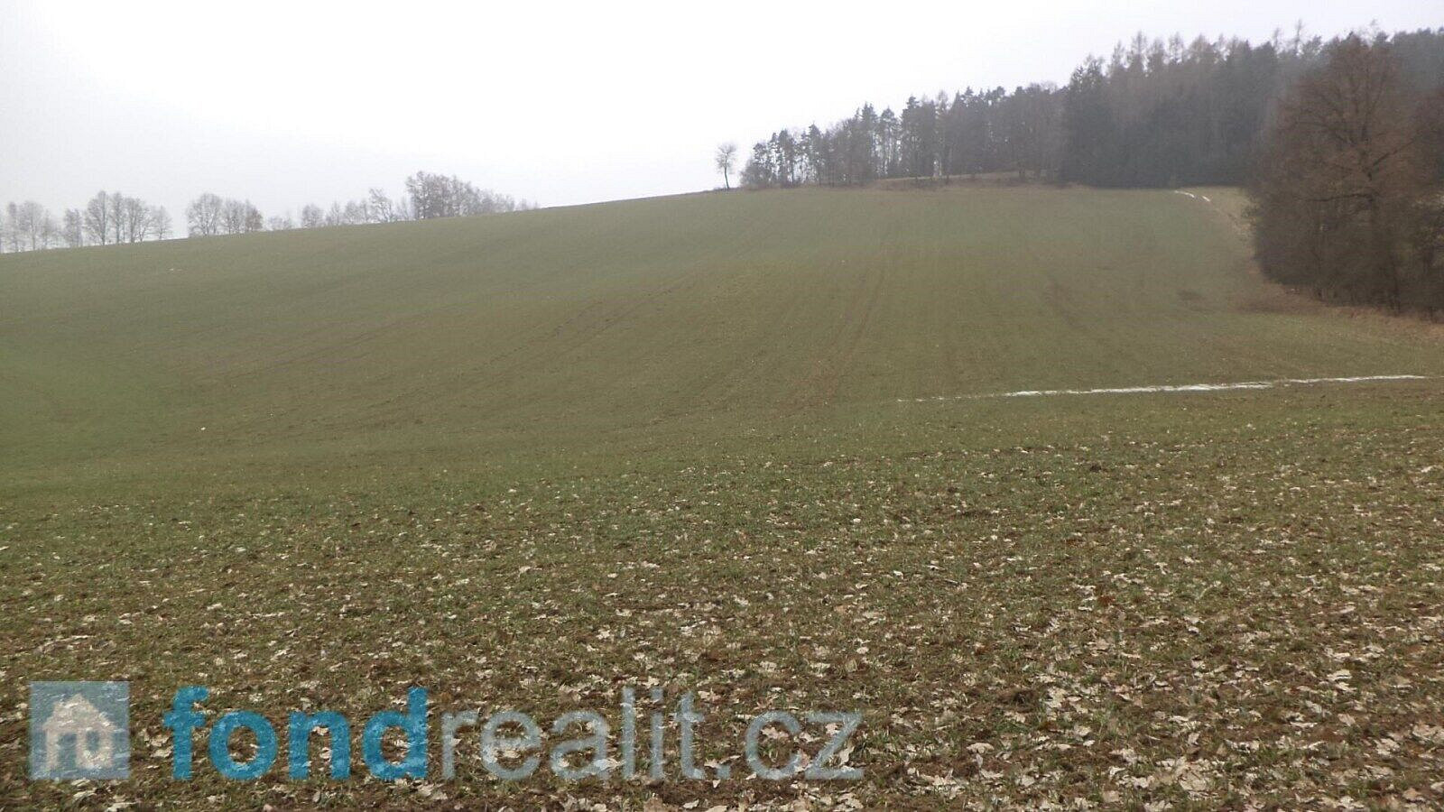 Prodej pozemku 1 506 m² – fotografie 3