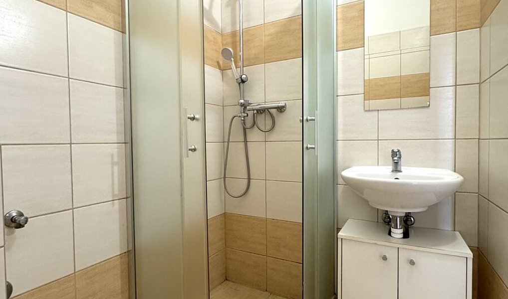 Pronájem bytu 1+1 35 m², Olomouc – náhled fotky 13