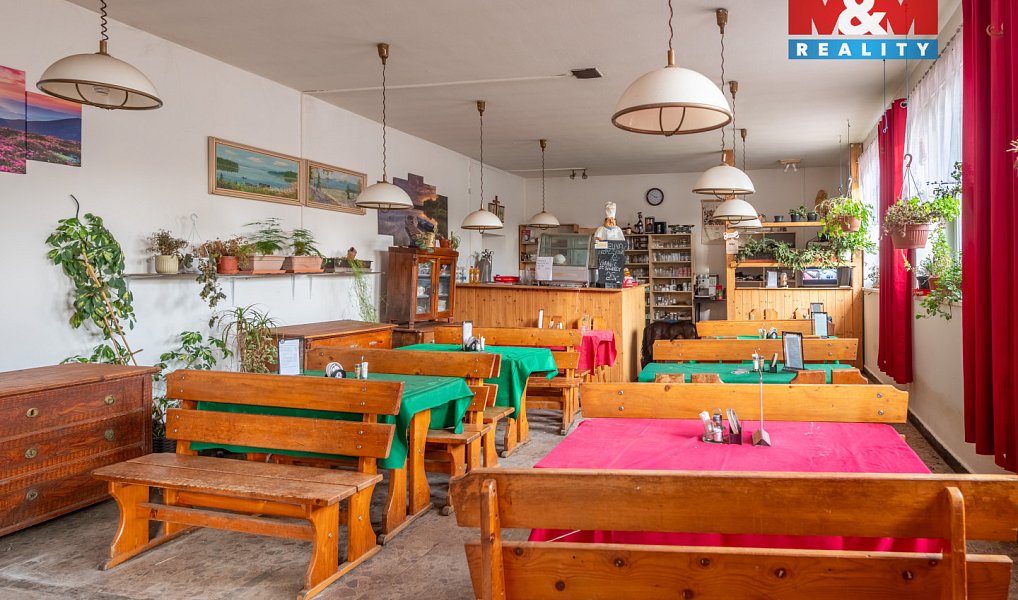 Prodej obchodních prostor 160 m², Zbytiny – náhled fotky 11