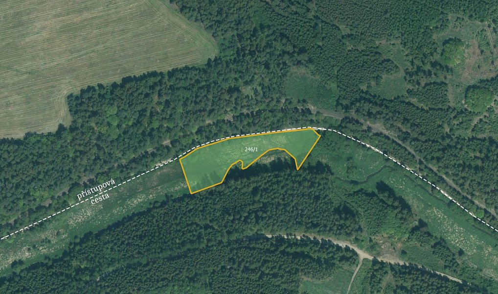 Prodej louky, 4514 m², Skviřín - Tachov, Bor