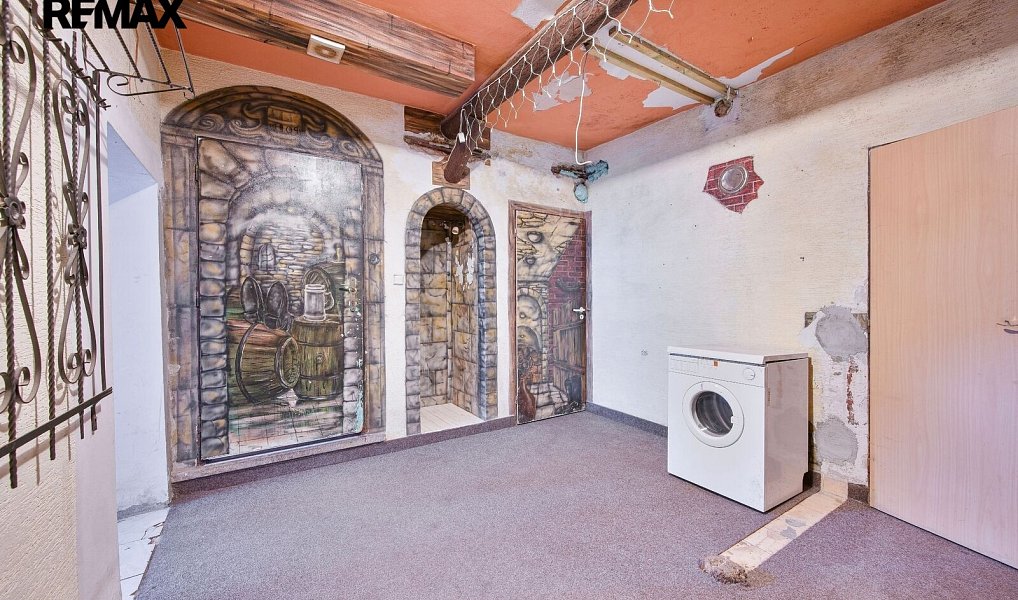 Prodej domu 320 m² s pozemkem 209 m², Hranice – náhled fotky 23