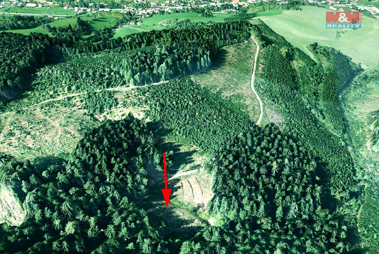 Prodej lesa 2 930 m²