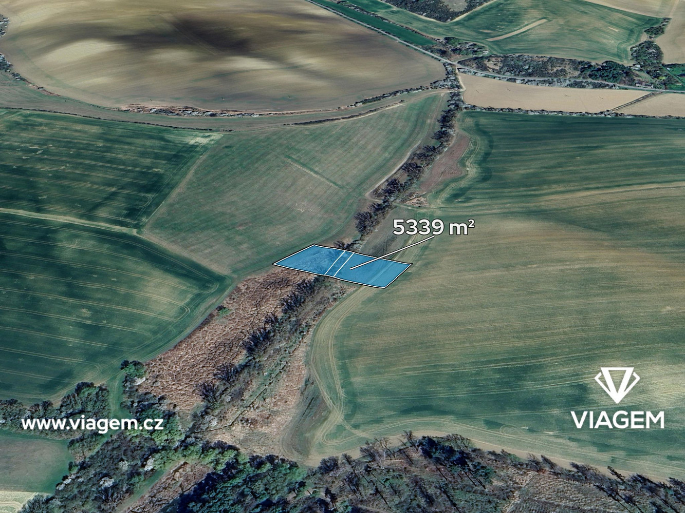 Prodej pole 2 669 m²