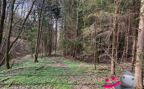 Prodej lesa 6 656 m², Luhačovice, okres Zlín