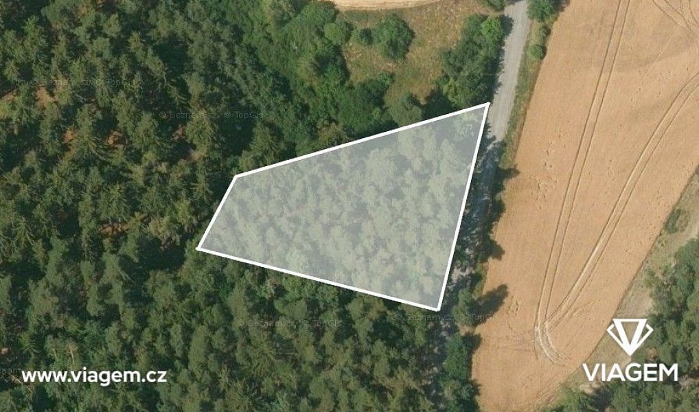 Prodej lesa 1 114 m², Manětín – náhled fotky 2